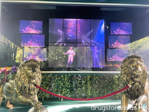 Many television screens showing Siegfried & Roy.