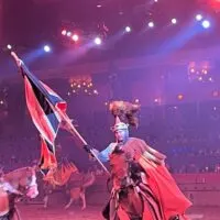 Man dressed as a knight on a horse holding a flag with the words 