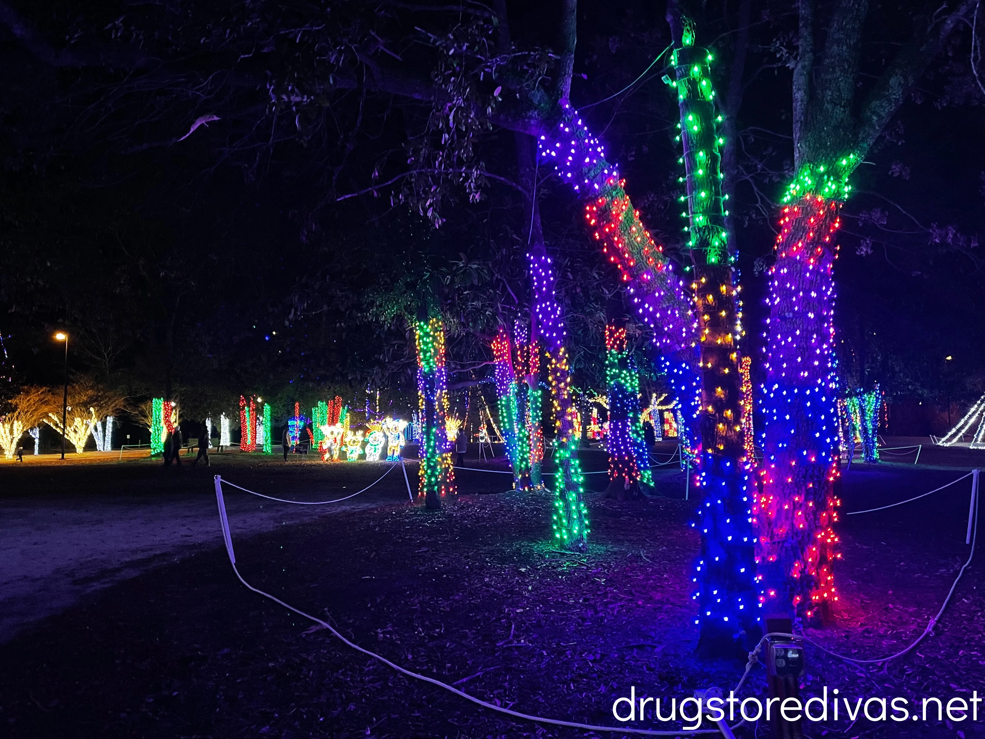 Lighted trees at Leland In Lights.