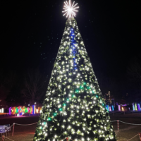 A tree lit in Founders Park in Leland, NC with the words 