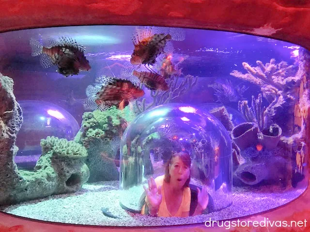 A woman in a fishtank at Sealife Orlando.