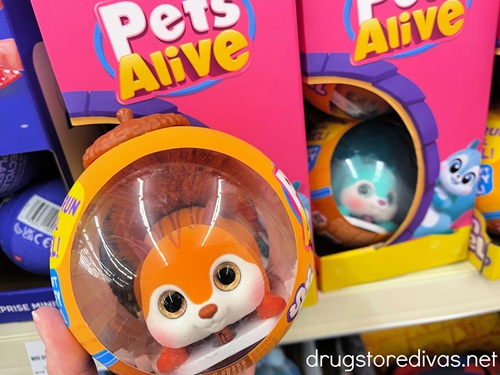 A hand holding a squirrel toy in an acorn-shaped ball in front of a Pets Alive display.