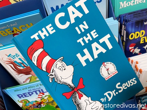 The Cat In The Hat by Dr Seuss book.