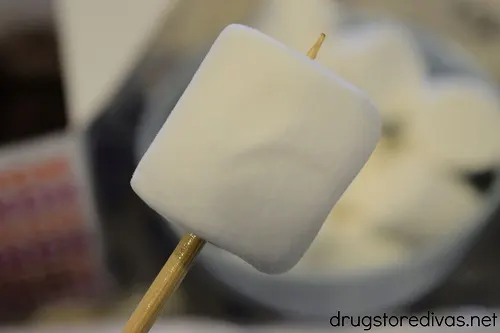 A marshmallow on a skewer.