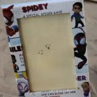 A homemade Amazing Spidey and Friends picture frame with the words 
