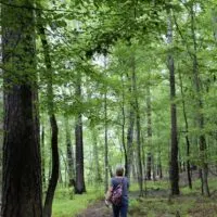 A woman standing in a nature park with the words 