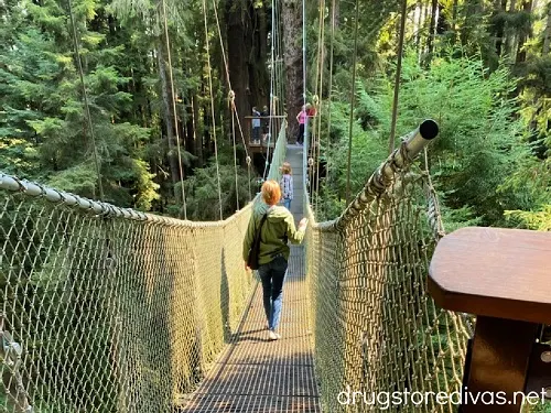 Redwood Sky Walk at the Sequoia Park Zoo.