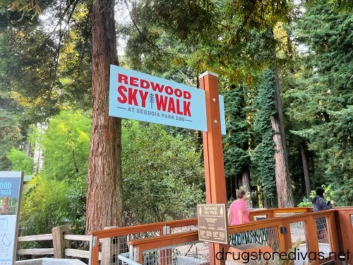 Redwood Sky Walk at the Sequoia Park Zoo.
