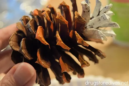 A pine cone painted with a white layer and an orange layer.