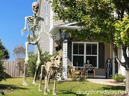 A giant skeleton with a giant dog skeleton in front of it.