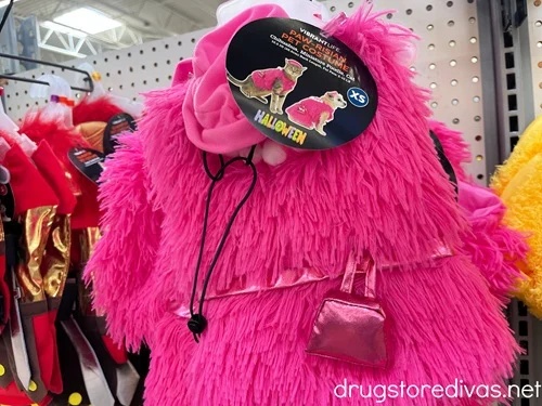 Paw-risian pet costume on the shelf in a store.