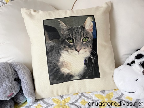 A pillow with a cat photo printed on it next to two stuffed animals.