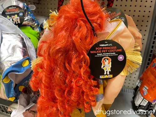 A pop star pet costume on a shelf in a store.