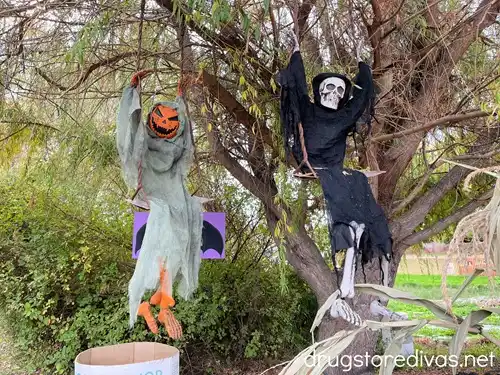 Two skeletons, one with a skull and one with a pumpkin face, swinging in a tree in Union Gap, WA.