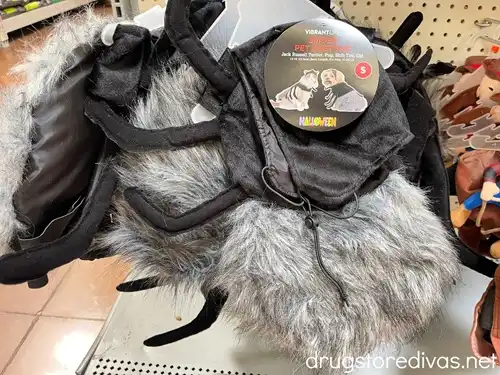 A spider pet costume on the shelf in a store.