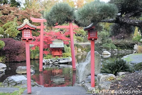 Point Defiance Park Japanese Garden in Tacoma, Washington.