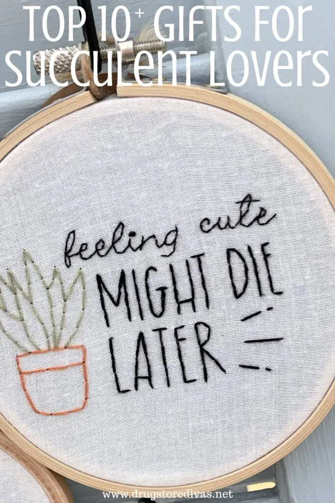 An embroidery craft that says "feeling cute might die later" next to a succulent with the words "Top 10+ Gifts For Succulent Lovers" digitally written above it.