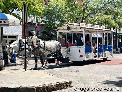A horse drawn carriage in downtown Wilmington, NC.