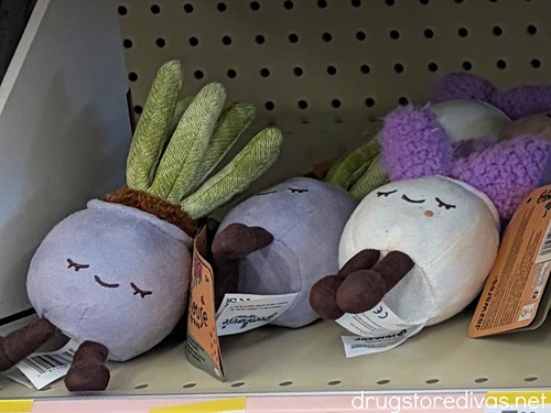 Succulent plush figures on a shelf in a store.