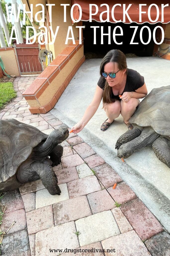 A woman feeding two Galapagos turtles with the words "What To Pack For A Day At The Zoo" digitally written above her.