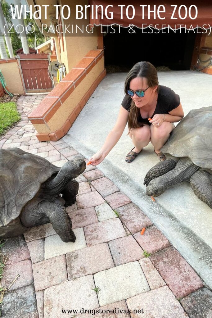 A woman feeding two Galapagos giant tortoises carrots with the words "What To Bring To The Zoo (Zoo Packing List & Essentials)" digitally written above her.