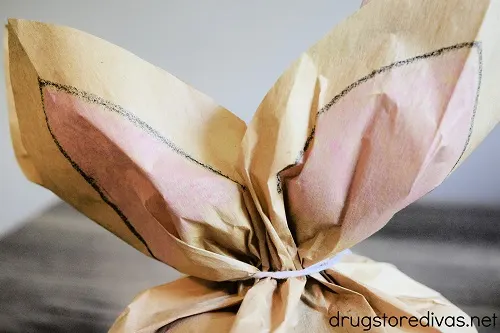 Twine tied around a paper bag where the top of it looks like bunny ears.