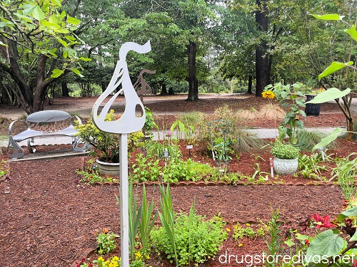 The chocolate garden in Swan Lake Iris Gardens in Sumter, South Carolina.
