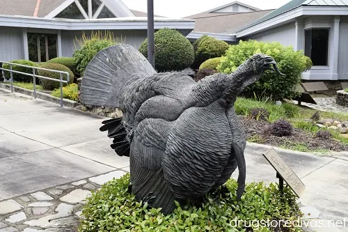 A bronze turkey from the Wild Turkey Center in Edgefield, SC.