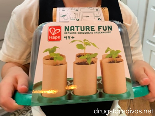 A young boy holding a Hape greenhouse toy in his hands.