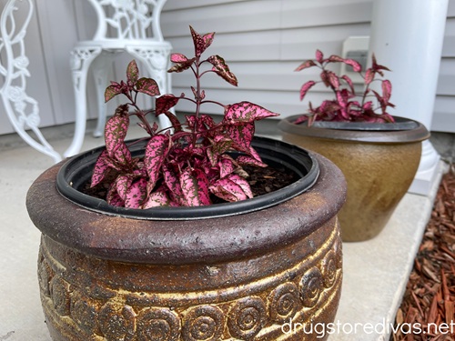 Two large outdoor planters with flowers in them on a porch with white chairs behind them.