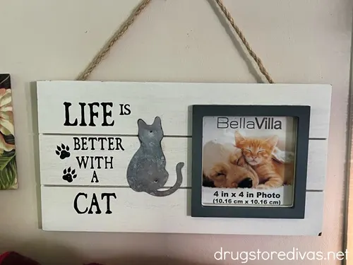 A frame that says "Life Is Better With A Cat" and has a square space for a cat photo hanging on a wall.