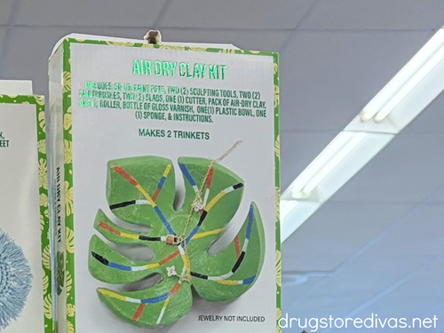 A box with a monstera leaf air dry clay kit in it on a shelf.