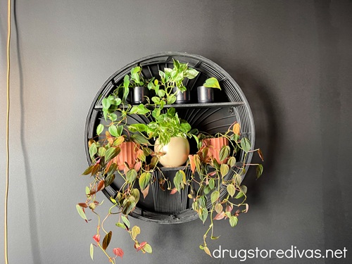 A round wooden shelf with plants on it.