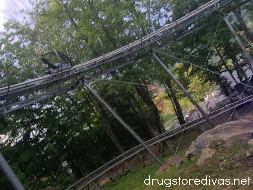 Someone riding an alpine coaster.