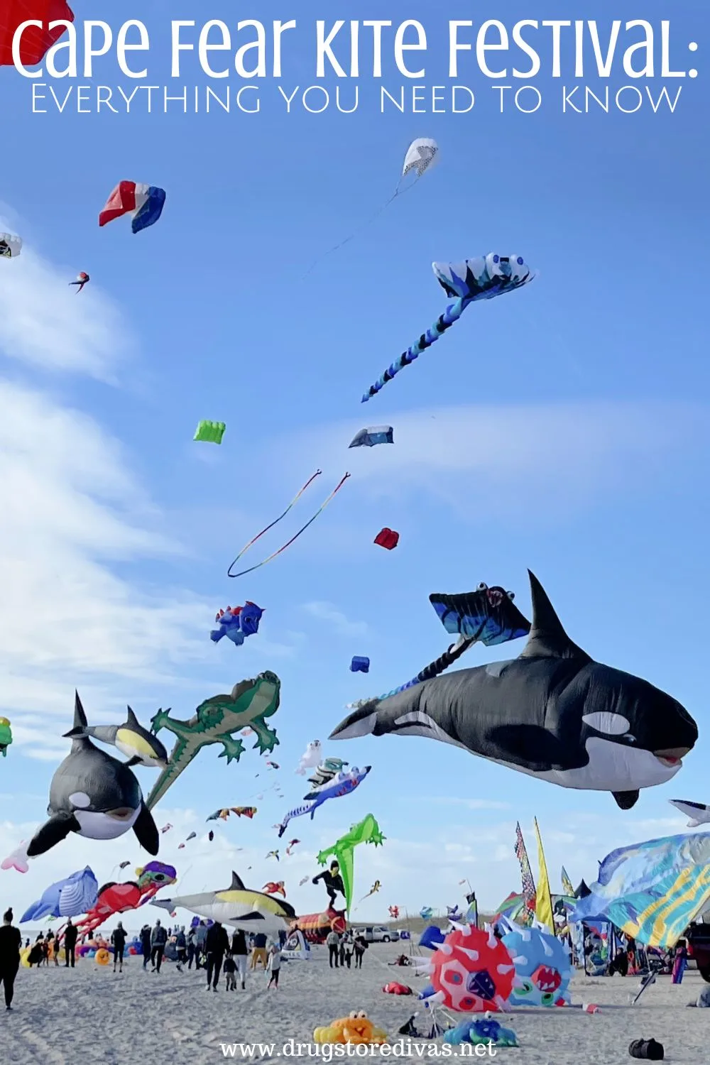 A bunch of kites in the sky above a beach with the words 