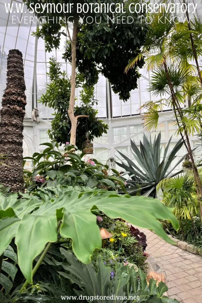 The inside of a conservatory with the words "W. W. Seymour Botanical Conservatory: Everything you need to know" digitally written on top.