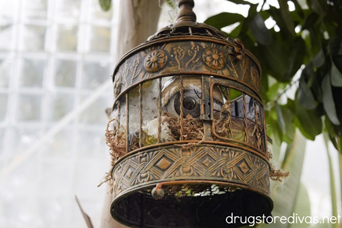 A metal birdcage with a fake eye inside in the WW Seymour Botanical Conservatory in Tacoma, Washington.