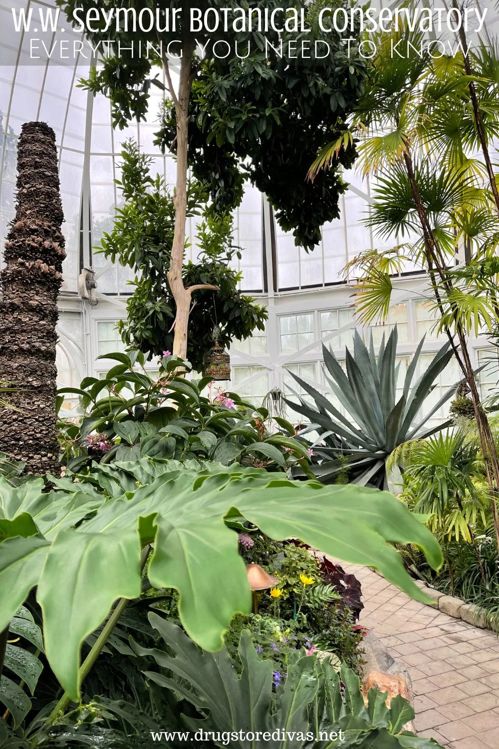 The inside of a conservatory with the words 