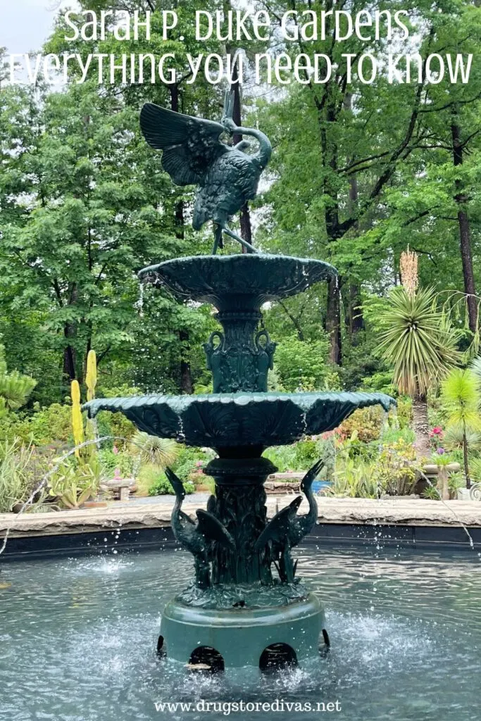 A stone fountain with two metal birds on top and the words "Sarah P. Duke Gardens: Everything you need to know" digitally written on top.