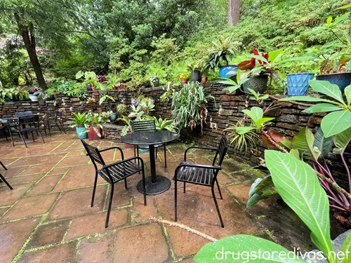 Metal tables and chairs outside, surrounded by green leaves and bushes, in the Sarah P Duke Gardens in Durham, NC.