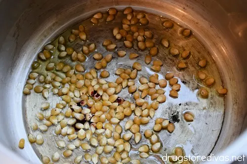 Popcorn and food coloring in the bottom of a pressure cooker.