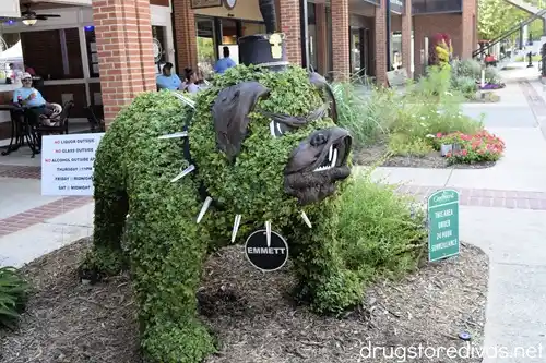 A dog shaped topiary at the Festival of Flowers in Greenwood, SC.