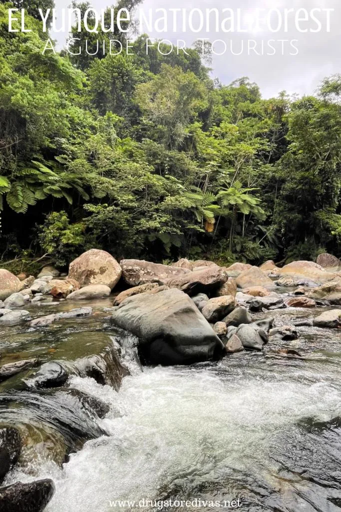 A rainforest with a stream and waterfall and rocks and the words "El Yunque National Forest: A Guide For Tourists" digitally written on top.