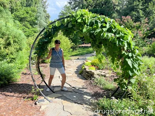 A woman standing in a round shaped structure with green leaves growing around it.