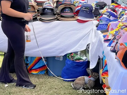 A woman holding a rabbit on a leash in a vendor tent looking at hats.