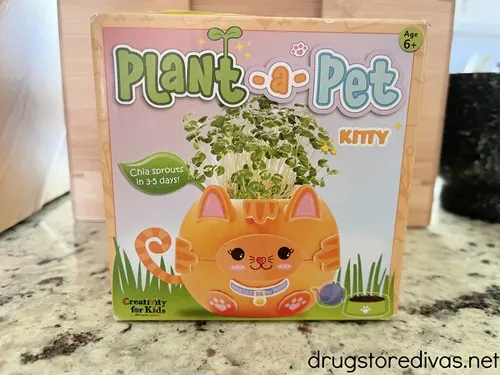 A box with a toy in it called a Plant A Pet.