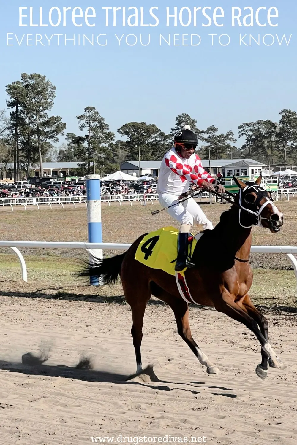 A jockey in a red and white outfit riding a horse that's wearing a yellow dressing with a black number 4 on it on a horse racing track with the words 