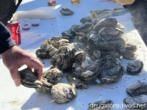 A hand grabbing an oyster from a pile on a table at an oyster roast.