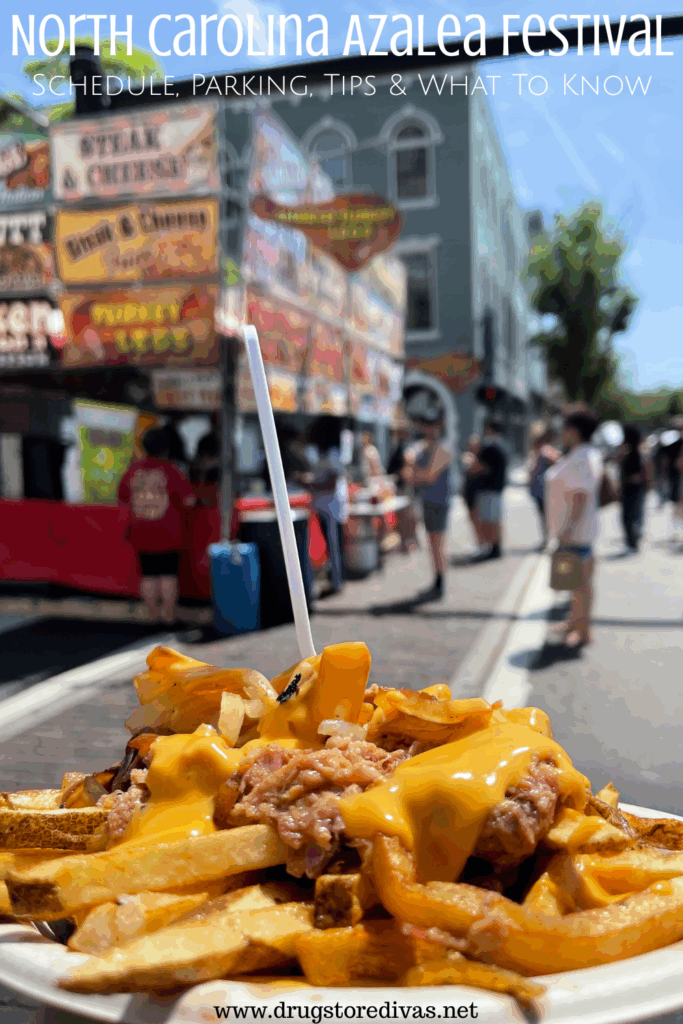 Pulled pork loaded fries in front of a street fair with the words "North Carolina Azalea Festival: Schedule, Parking, Tips & What To Know" digitally written above it.