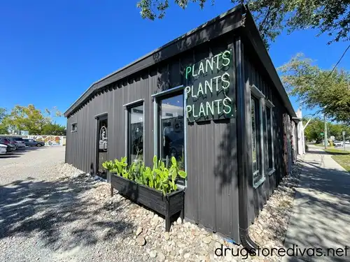 A black building that says Plants, Plants, Plants on it in The Cargo District in Wilmington, NC.